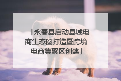 永春县启动县域电商生态圈打造暨跨境电商集聚区创建