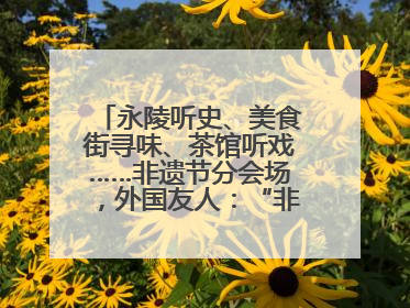 永陵听史、美食街寻味、茶馆听戏……非遗节分会场，外国友人：“非常棒”