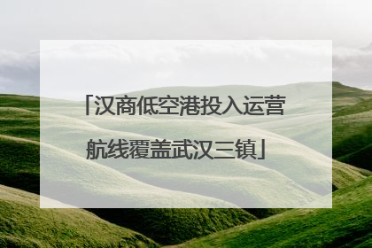 汉商低空港投入运营 航线覆盖武汉三镇