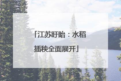江苏盱眙：水稻插秧全面展开