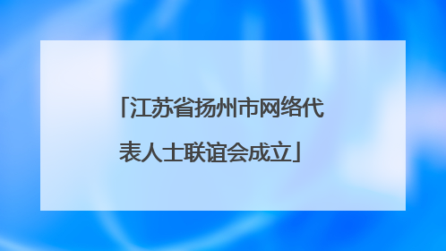 江苏省扬州市网络代表人士联谊会成立