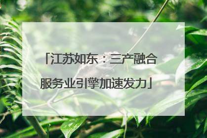 江苏如东：三产融合 服务业引擎加速发力