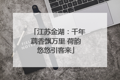 江苏金湖：千年藕香飘万里 荷韵悠悠引客来