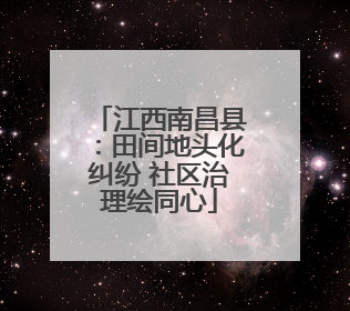 江西南昌县：田间地头化纠纷 社区治理绘同心