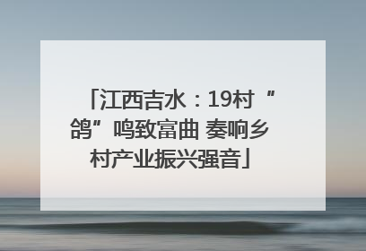 江西吉水：19村“鸽”鸣致富曲 奏响乡村产业振兴强音