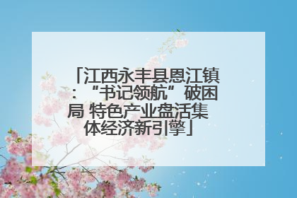 江西永丰县恩江镇：“书记领航”破困局 特色产业盘活集体经济新引擎