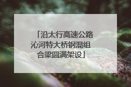 沿太行高速公路沁河特大桥钢混组合梁圆满架设