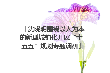沈晓明围绕以人为本的新型城镇化开展“十五五”规划专题调研