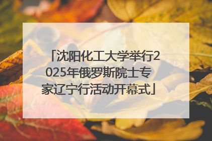 沈阳化工大学举行2025年俄罗斯院士专家辽宁行活动开幕式