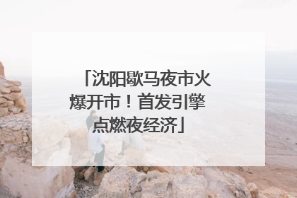沈阳歇马夜市火爆开市！首发引擎点燃夜经济