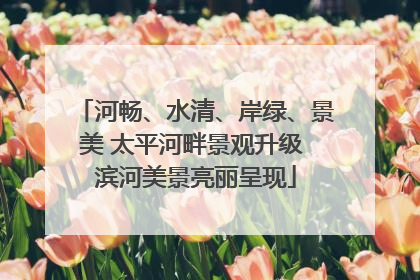 河畅、水清、岸绿、景美 太平河畔景观升级 滨河美景亮丽呈现