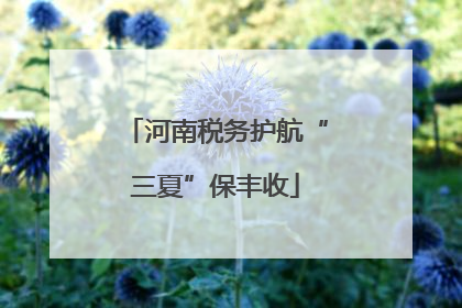 河南税务护航“三夏”保丰收