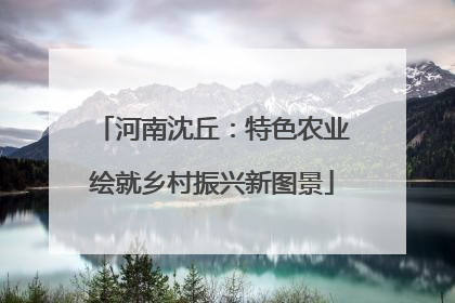 河南沈丘：特色农业绘就乡村振兴新图景