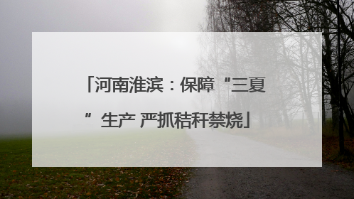 河南淮滨：保障“三夏”生产 严抓秸秆禁烧