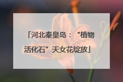 河北秦皇岛：“植物活化石”天女花绽放
