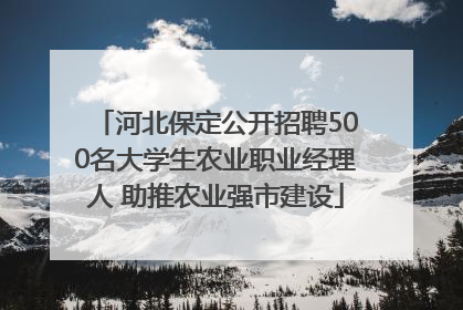 河北保定公开招聘500名大学生农业职业经理人 助推农业强市建设