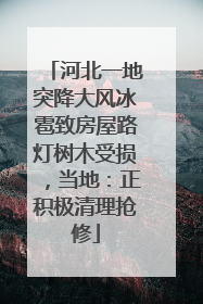 河北一地突降大风冰雹致房屋路灯树木受损，当地：正积极清理抢修