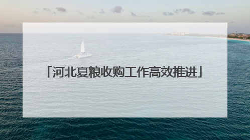 河北夏粮收购工作高效推进