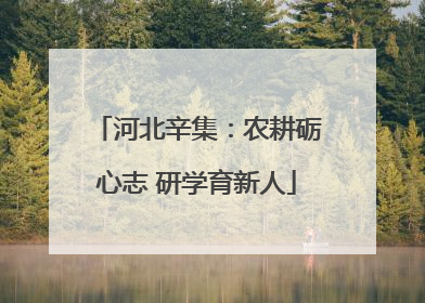 河北辛集：农耕砺心志 研学育新人