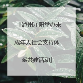 泸州江阳举办未成年人社会支持体系共建活动