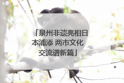 泉州非遗亮相日本浦添 两市文化交流谱新篇