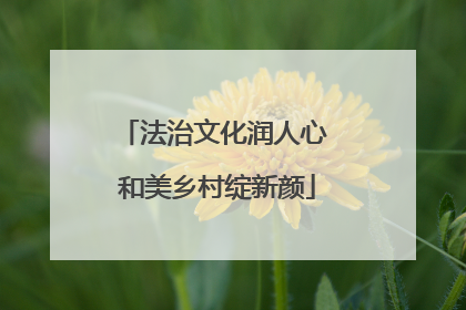 法治文化润人心 和美乡村绽新颜