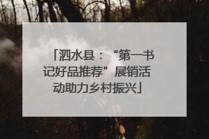 泗水县：“第一书记好品推荐”展销活动助力乡村振兴