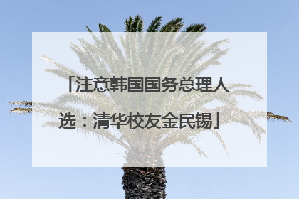 注意韩国国务总理人选：清华校友金民锡