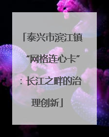 泰兴市滨江镇“网格连心卡”：长江之畔的治理创新