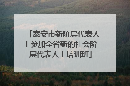 泰安市新阶层代表人士参加全省新的社会阶层代表人士培训班