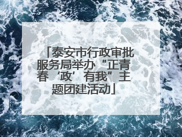 泰安市行政审批服务局举办“正青春‘政’有我”主题团建活动