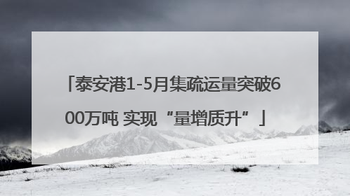 泰安港1-5月集疏运量突破600万吨 实现“量增质升”
