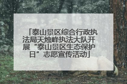 泰山景区综合行政执法局天烛峰执法大队开展“泰山景区生态保护日”志愿宣传活动