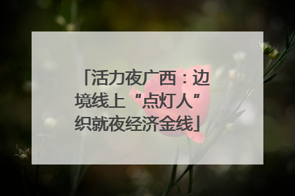 活力夜广西：边境线上“点灯人”织就夜经济金线