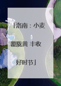 洛南：小麦覆陇黄 丰收好时节