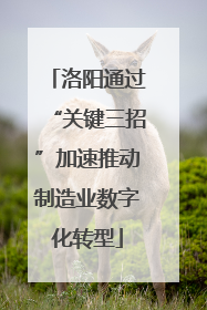洛阳通过“关键三招”加速推动制造业数字化转型