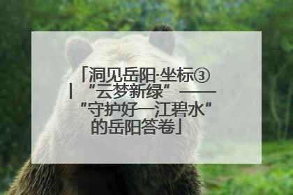 洞见岳阳·坐标③丨“云梦新绿”——“守护好一江碧水”的岳阳答卷