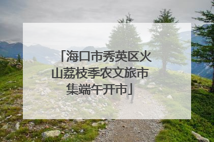 海口市秀英区火山荔枝季农文旅市集端午开市