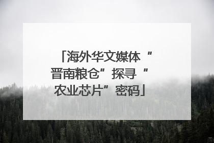 海外华文媒体“晋南粮仓”探寻“农业芯片”密码