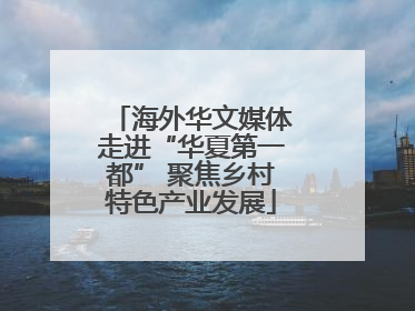 海外华文媒体走进“华夏第一都” 聚焦乡村特色产业发展