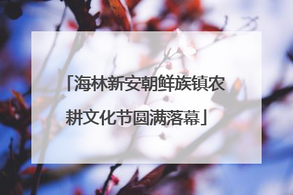 海林新安朝鲜族镇农耕文化节圆满落幕