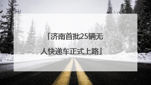济南首批25辆无人快递车正式上路