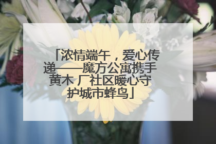 浓情端午，爱心传递——魔方公寓携手黄木 厂社区暖心守护城市蜂鸟