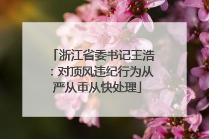 浙江省委书记王浩：对顶风违纪行为从严从重从快处理