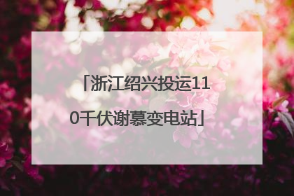 浙江绍兴投运110千伏谢慕变电站
