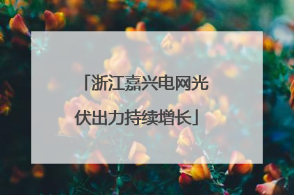 浙江嘉兴电网光伏出力持续增长
