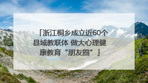 浙江桐乡成立近60个县域教联体 做大心理健康教育“朋友圈”