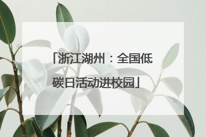 浙江湖州：全国低碳日活动进校园