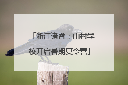 浙江诸暨：山村学校开启暑期夏令营