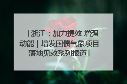 浙江：加力提效 增强动能｜增发国债气象项目落地见效系列报道